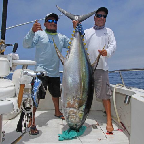 cabo-fishing-tuna